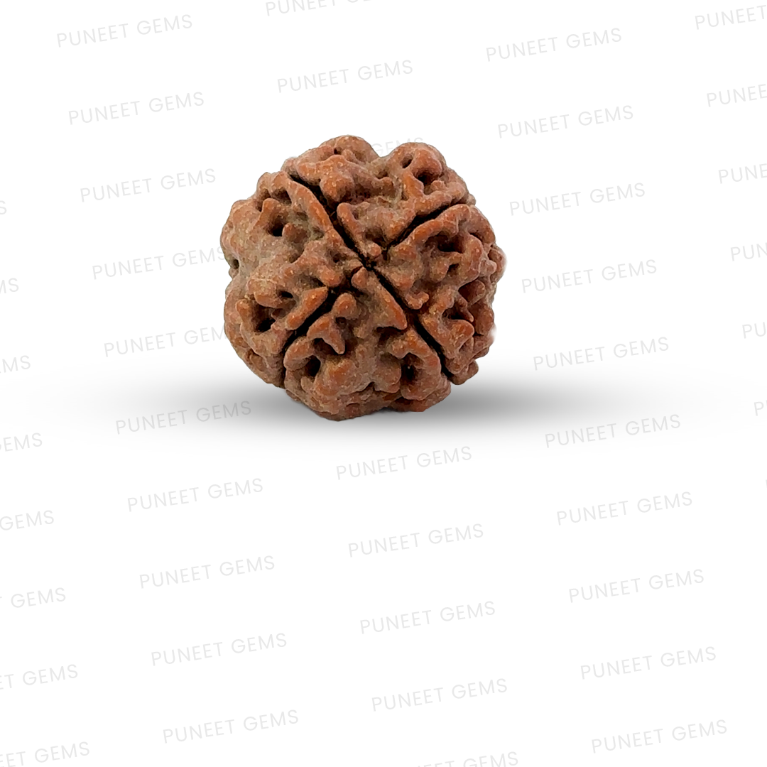 4 Mukhi Nepali Rudraksha