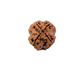 4 Mukhi Nepali Rudraksha