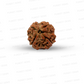 4 Mukhi Nepali Rudraksha