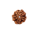 5 Mukhi Nepali Rudraksha
