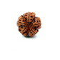 5 Mukhi Nepali Rudraksha