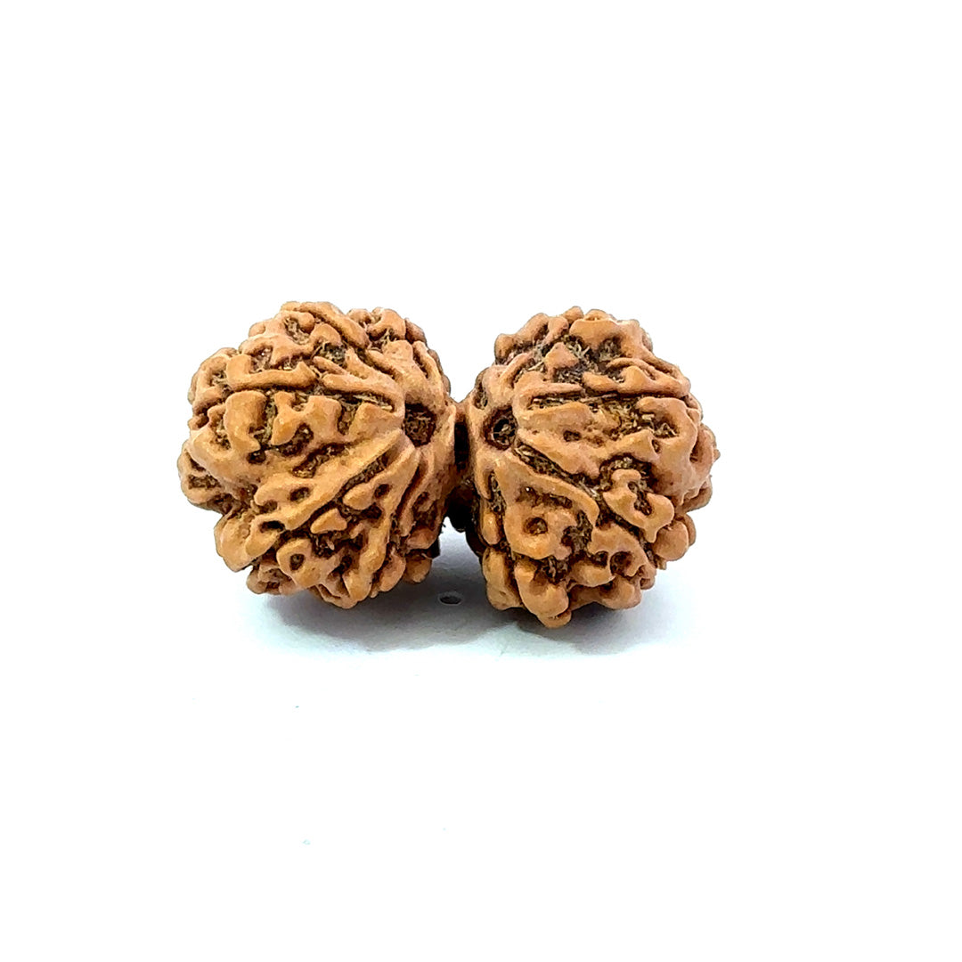 Gauri Shankar Rudraksha Nepali