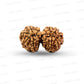 Gauri Shankar Rudraksha Nepali