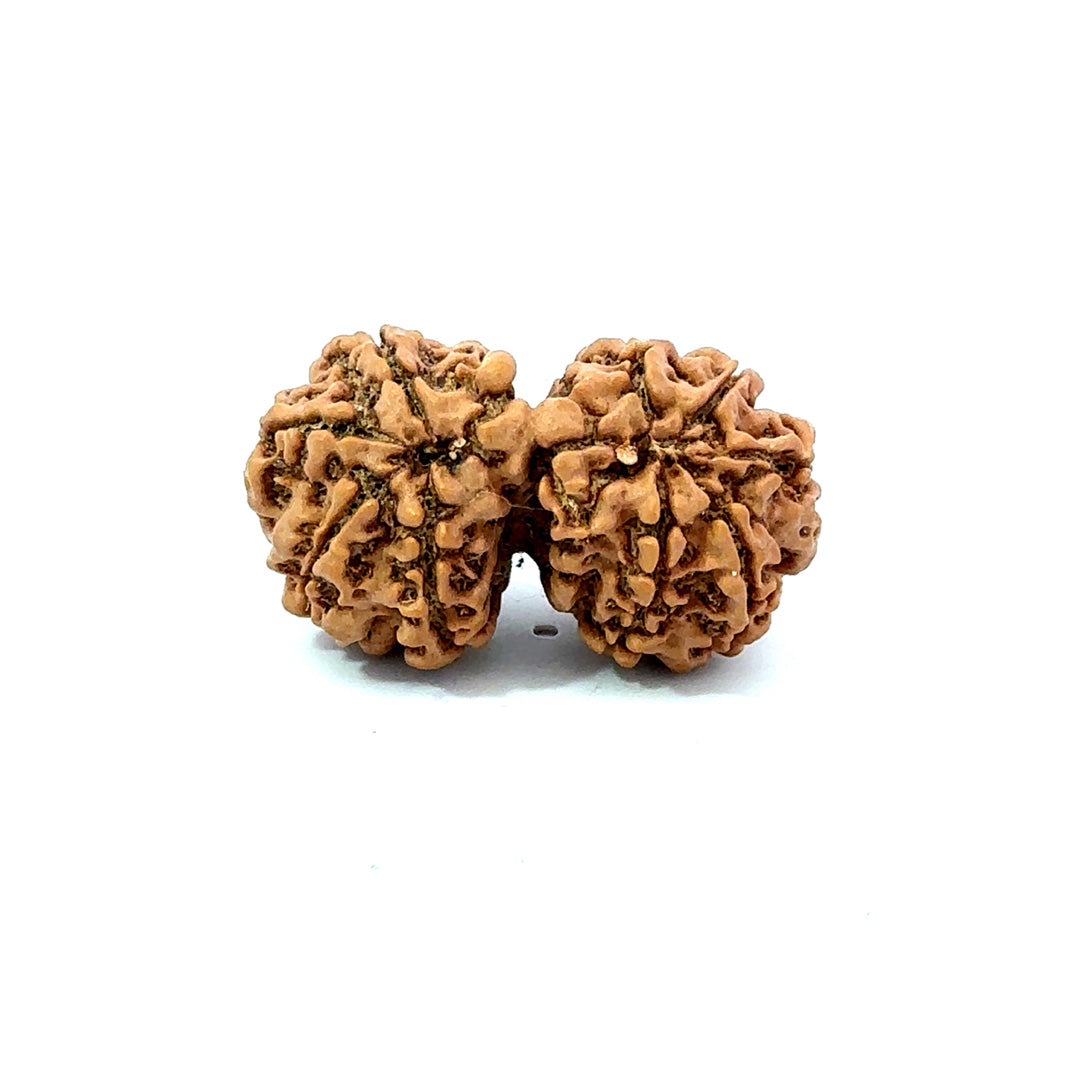 Gauri Shankar Rudraksha Nepali