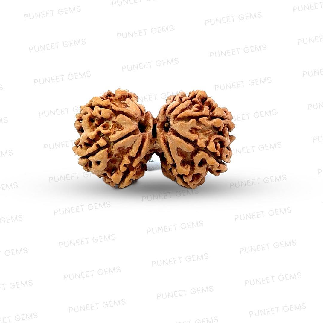 Gauri Shankar Rudraksha Nepali