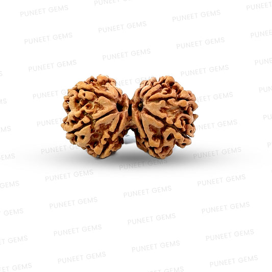 Gauri Shankar Rudraksha Nepali