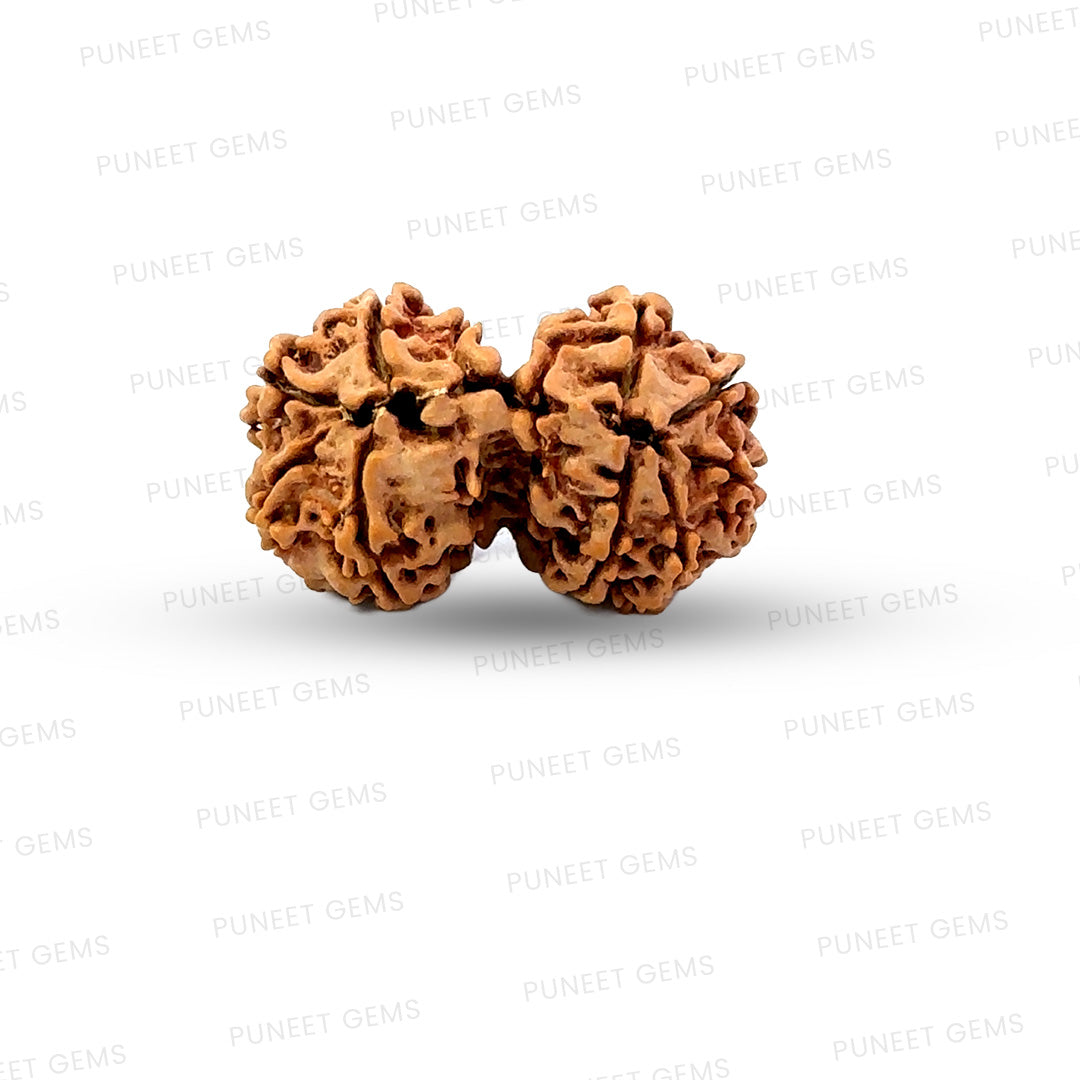 Gauri Shankar Rudraksha Nepali