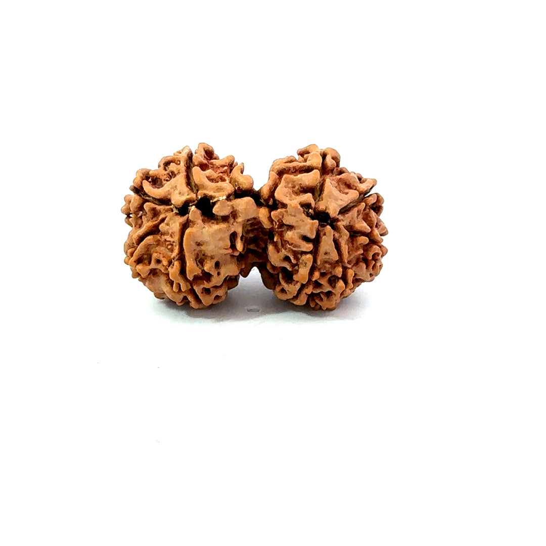 Gauri Shankar Rudraksha Nepali
