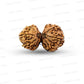 Gauri Shankar Rudraksha Nepali