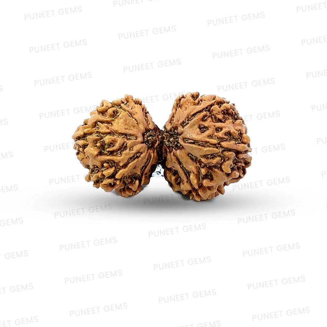 Gauri Shankar Rudraksha Nepali