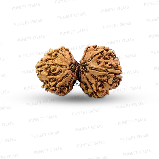 Gauri Shankar Rudraksha Nepali