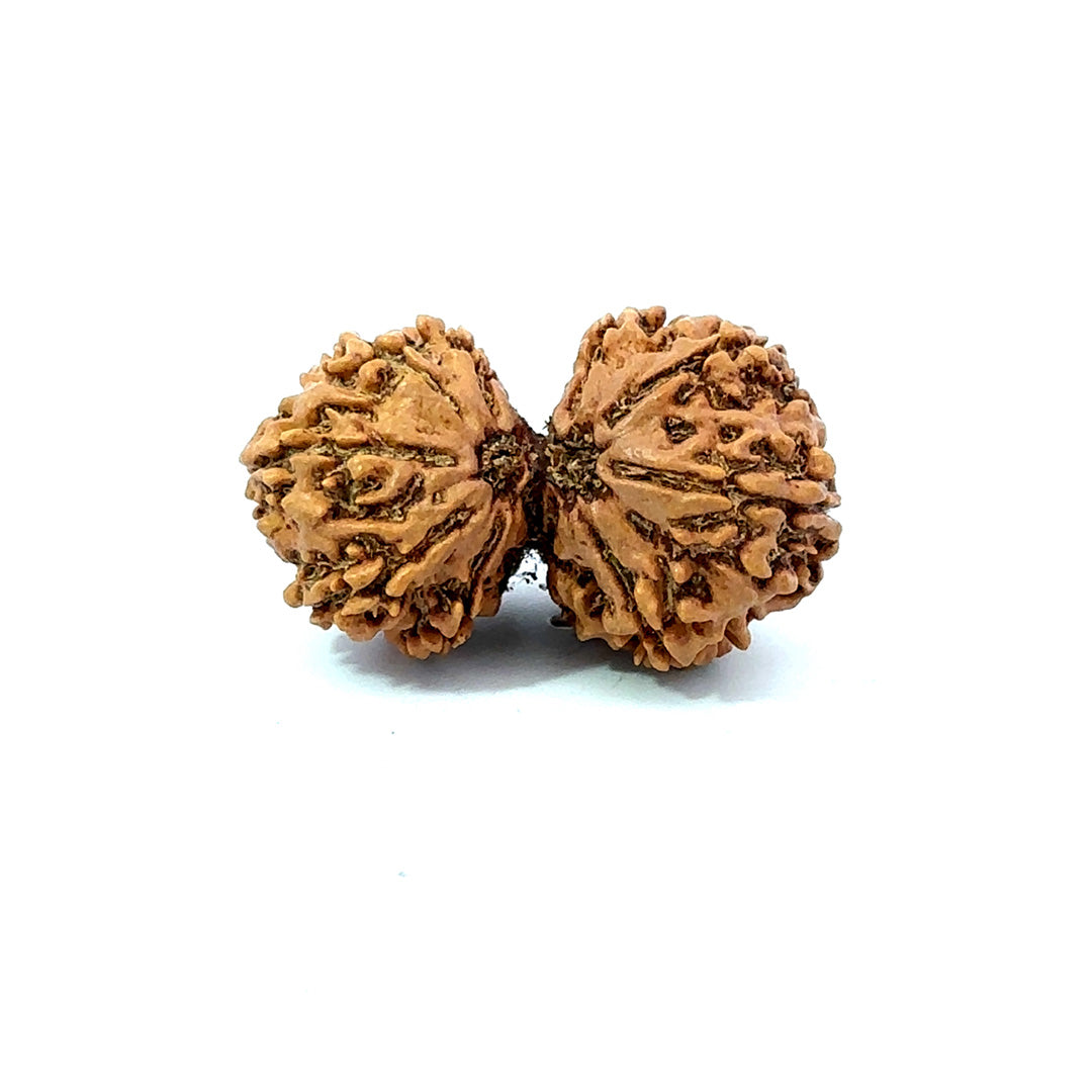 Gauri Shankar Rudraksha Nepali