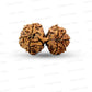 Gauri Shankar Rudraksha Nepali