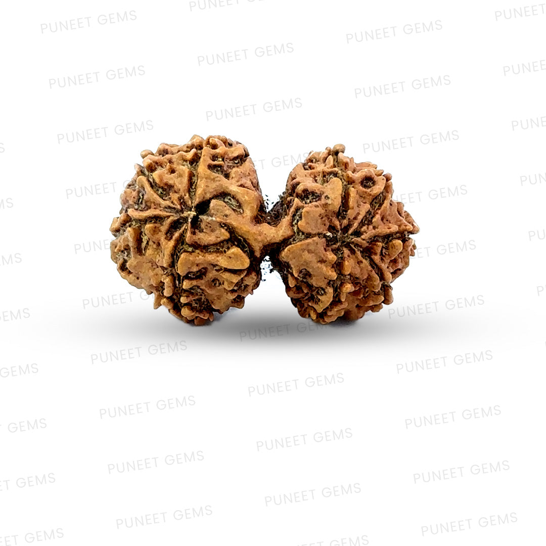 Gauri Shankar Rudraksha Nepali