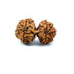 Gauri Shankar Rudraksha Nepali