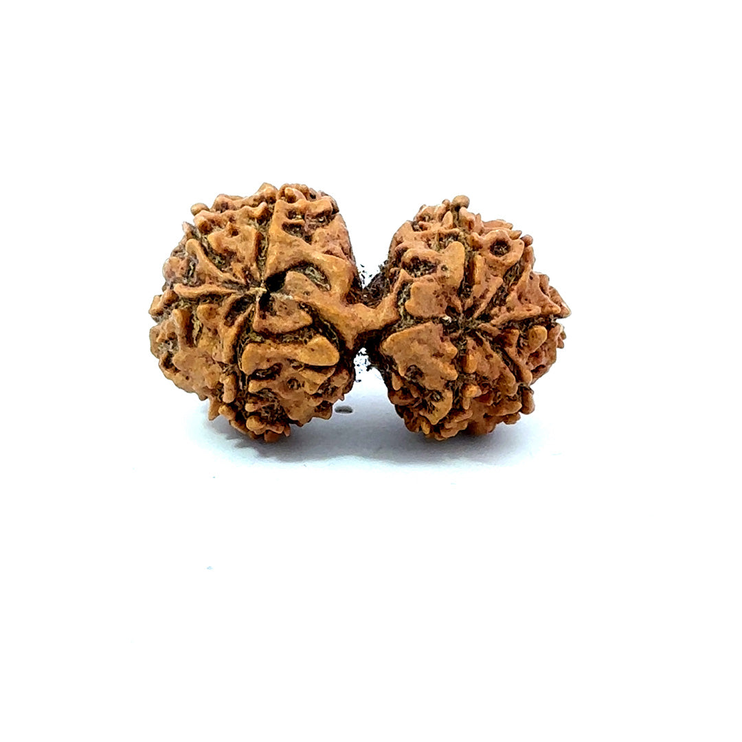 Gauri Shankar Rudraksha Nepali
