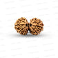 Gauri Shankar Rudraksha Nepali