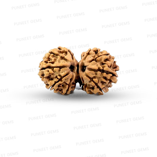 Gauri Shankar Rudraksha Nepali