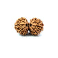Gauri Shankar Rudraksha Nepali