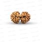Gauri Shankar Rudraksha Nepali