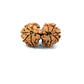 Gauri Shankar Rudraksha Nepali