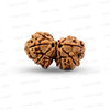 Gauri Shankar Rudraksha Nepali