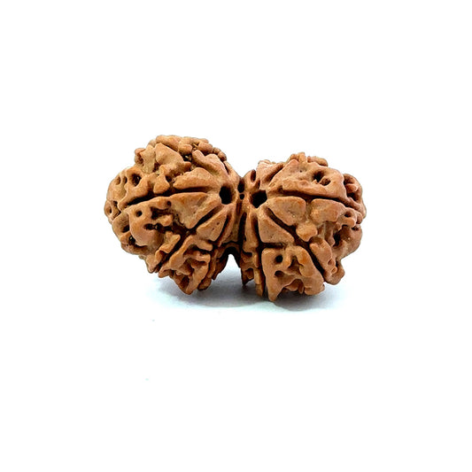 Gauri Shankar Rudraksha Nepali