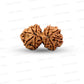Gauri Shankar Rudraksha Nepali