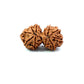 Gauri Shankar Rudraksha Nepali