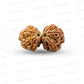 Gauri Shankar Rudraksha Nepali