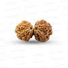 Gauri Shankar Rudraksha Nepali
