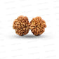 Gauri Shankar Rudraksha Nepali