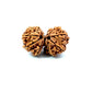 Gauri Shankar Rudraksha Nepali