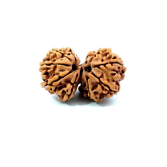 Gauri Shankar Rudraksha Nepali