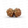 Gauri Shankar Rudraksha Nepali