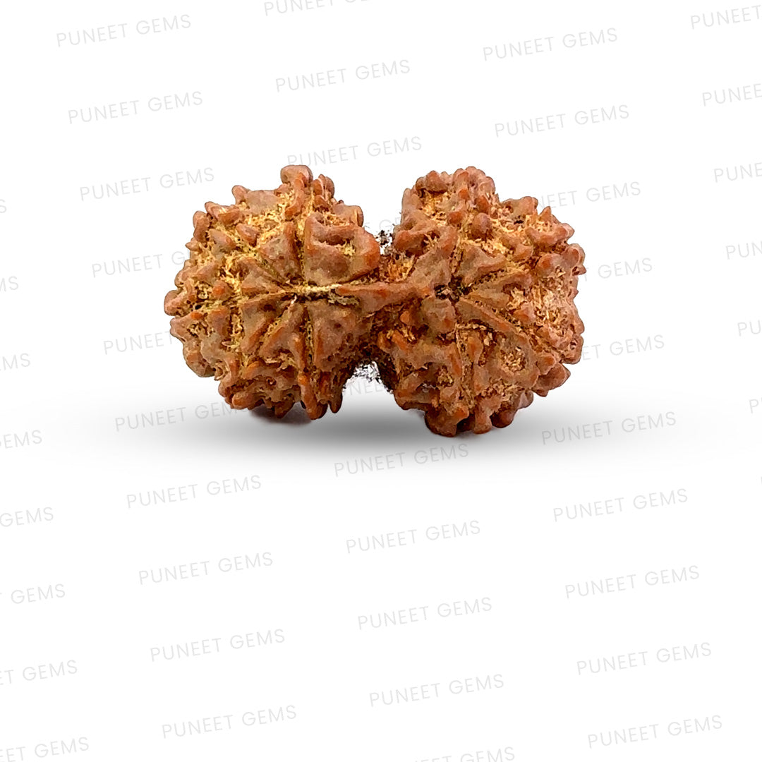 Gauri Shankar Rudraksha Nepali