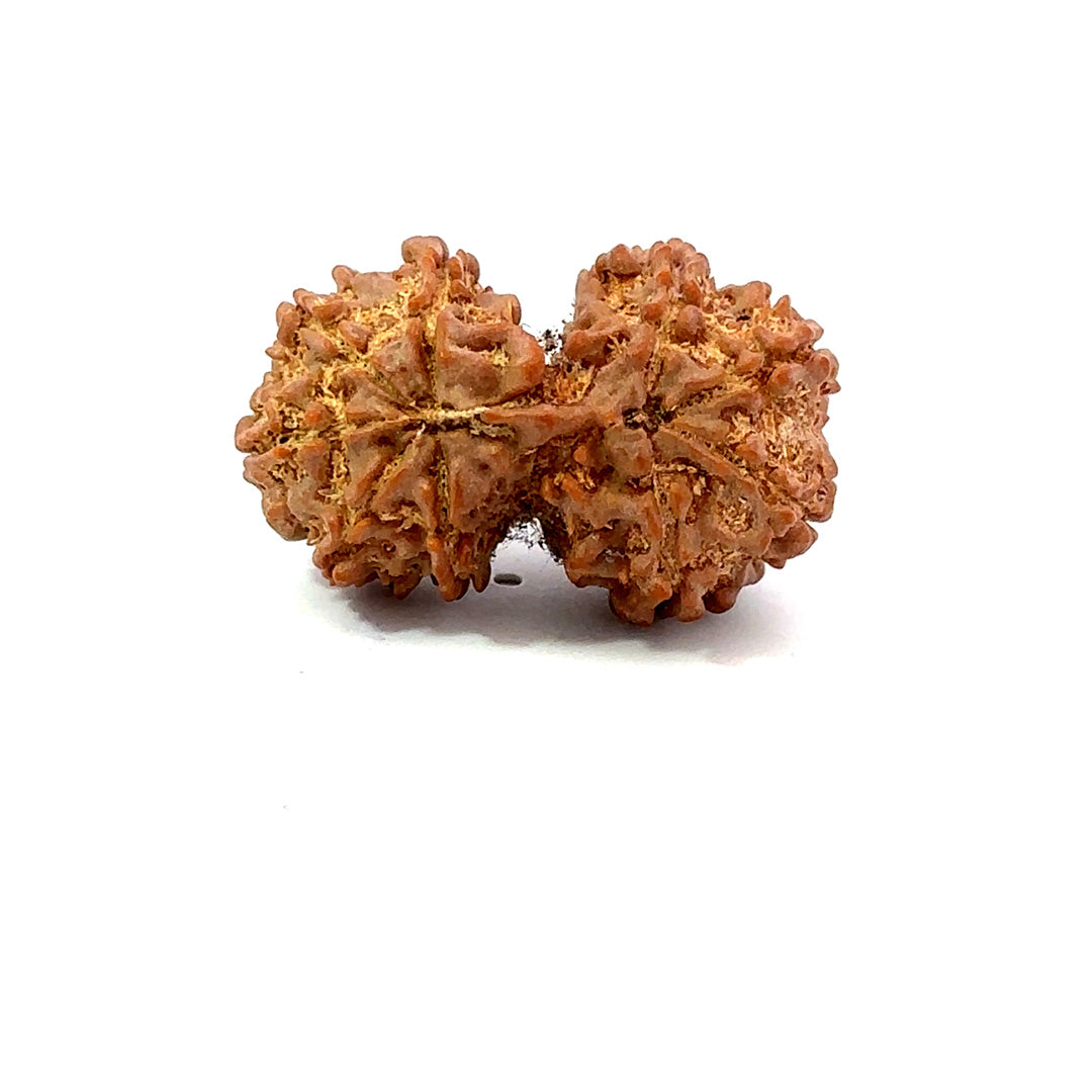 Gauri Shankar Rudraksha Nepali