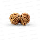 Gauri Shankar Rudraksha Nepali