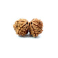 Gauri Shankar Rudraksha Nepali