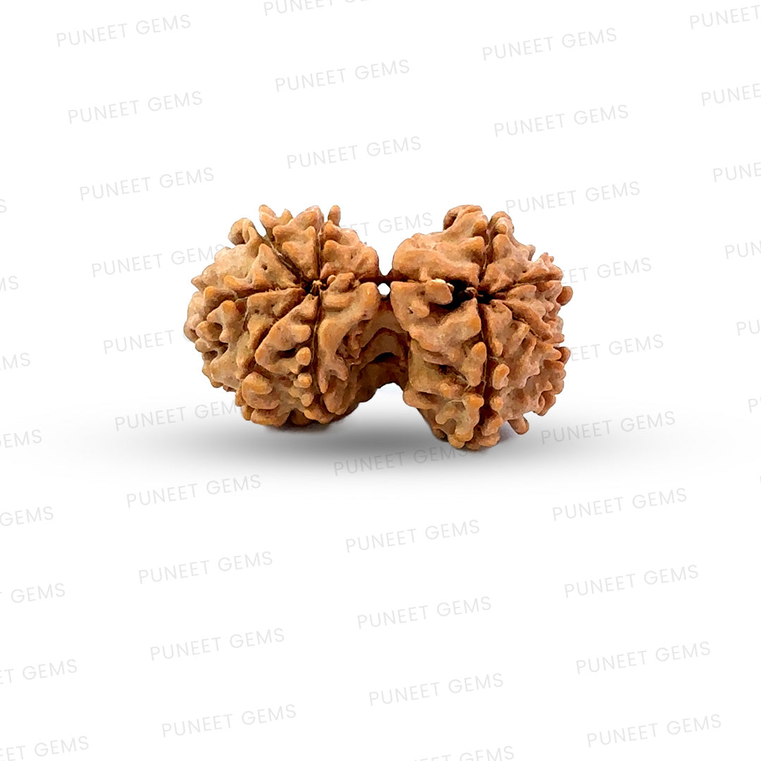 Gauri Shankar Rudraksha Nepali