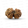 Gauri Shankar Rudraksha Nepali
