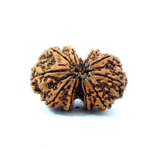Gauri Shankar Rudraksha Nepali