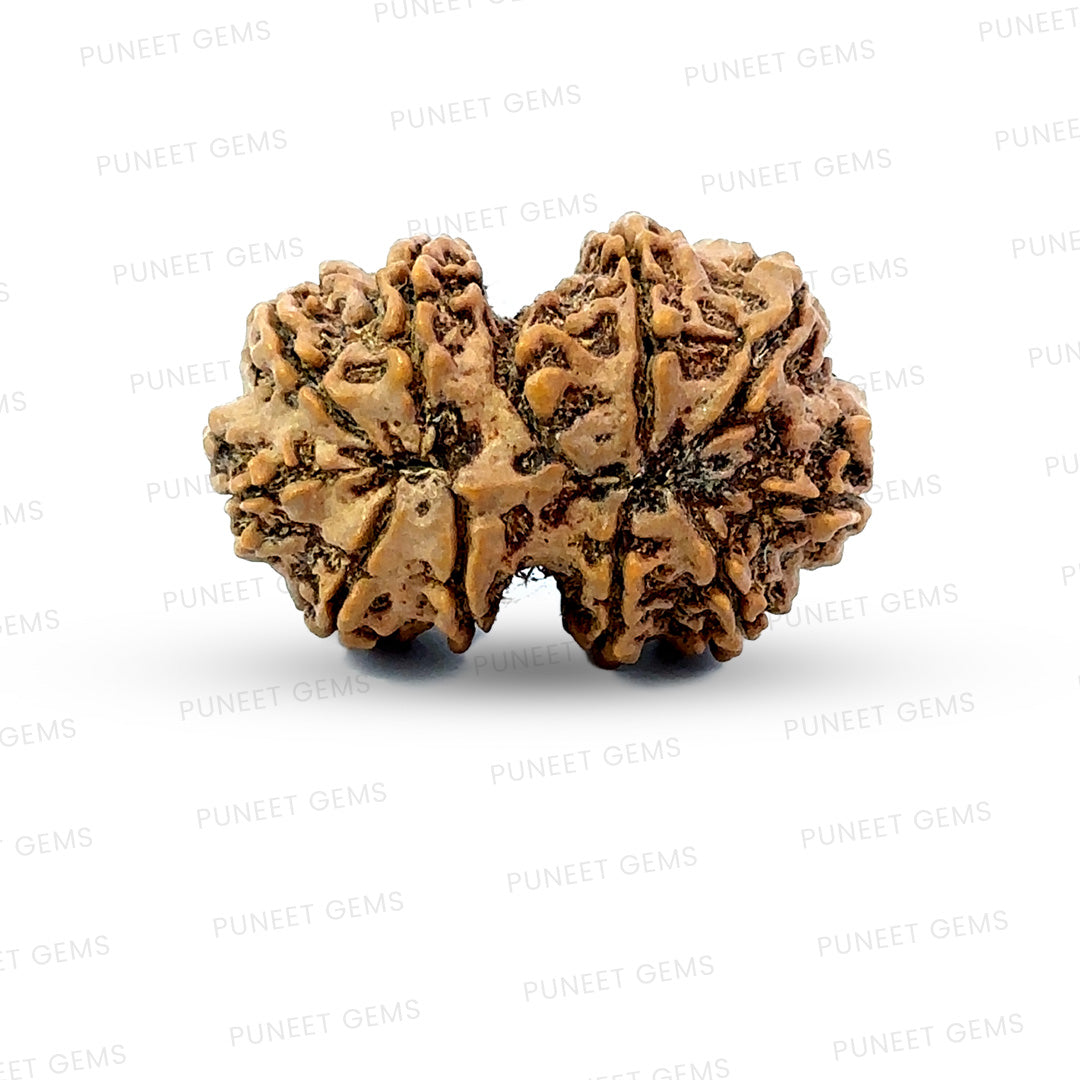Gauri Shankar Rudraksha Nepali