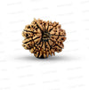 ✨ Benefits of 13 Mukhi Rudraksha (Natural & Certified)  Big