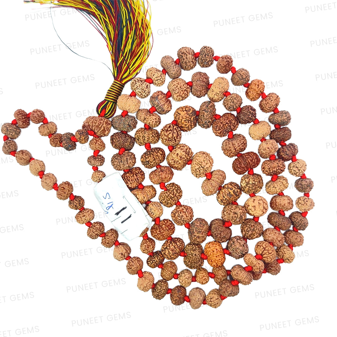 11 Mukhi Rudraksha Mala
