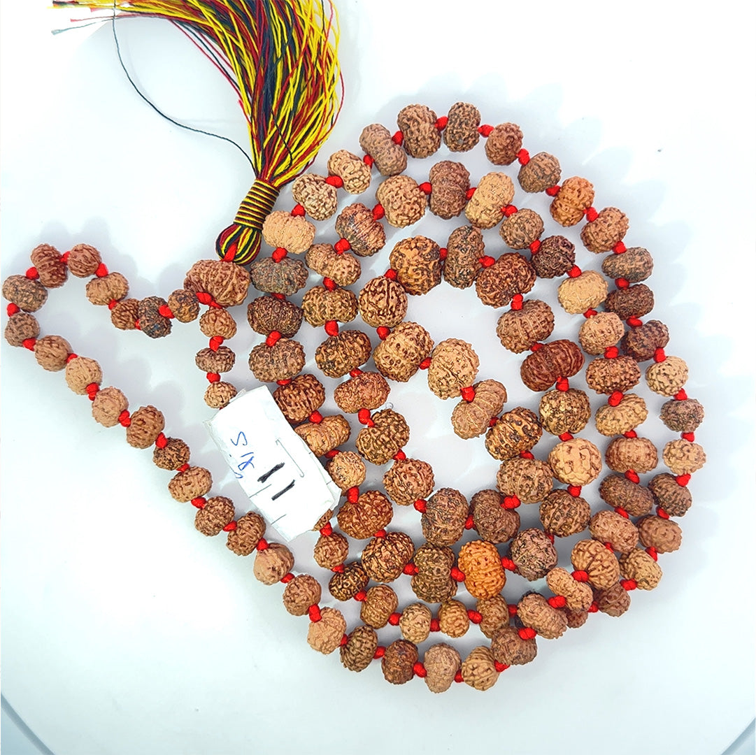 11 Mukhi Rudraksha Mala