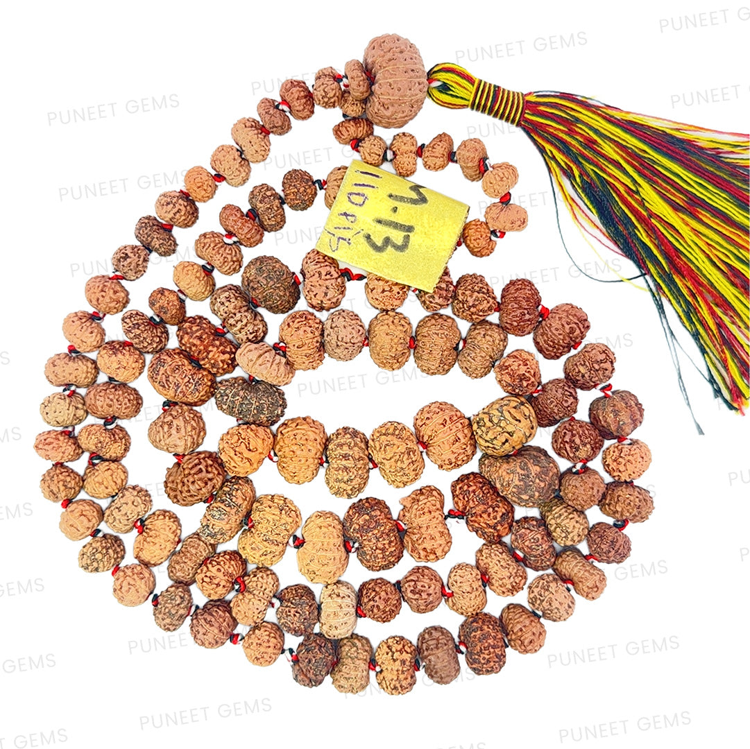 13 Mukhi Rudraksha Mala