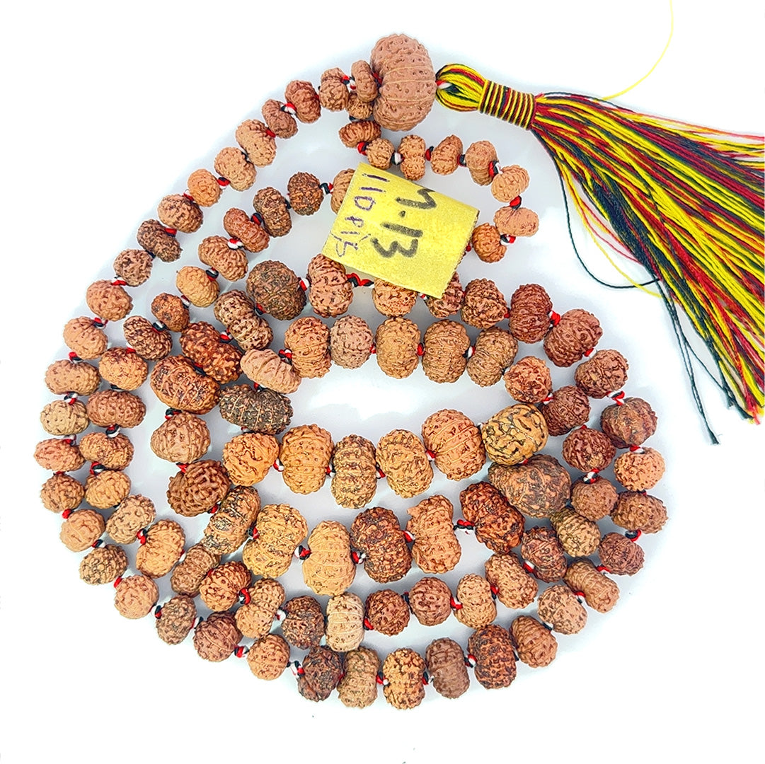 13 Mukhi Rudraksha Mala