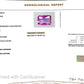 Pink Sapphire Gemstones – Elegance in Every Hue 1.58 CT