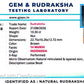 🌿 14 Mukhi Nepali Rudraksha (Natural & Certified). Super Collector
